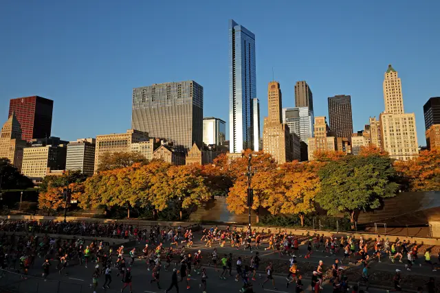 Новый гигантский вирус может помочь ученым лучше понять возникновение сложной жизни: большой ДНК-вирус, который помогает ученым понять происхождение репликации ДНК и эволюцию сложной жизни