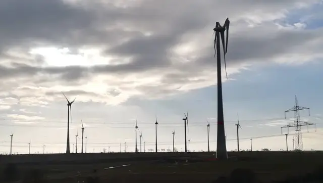 Бег, возможно, заставлял динозавров взмахивать крыльями до того, как они научились летать: новые данные свидетельствуют о том, что пассивное взмахивание крыльями могло возникнуть раньше, чем планирующ