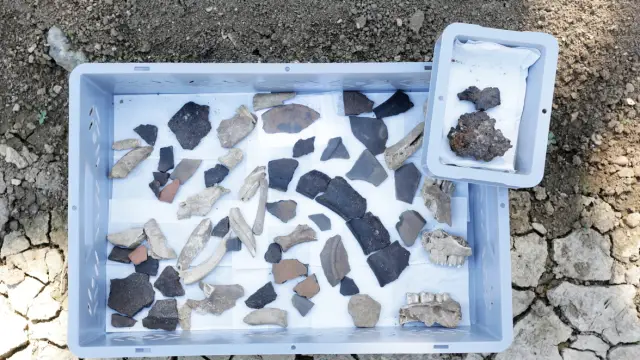 Фиксаторы аяхуаски, найденные в 1000-летней связке в Андах: новые доказательства того, что умопомрачительный напиток восходит к тысячелетней давности