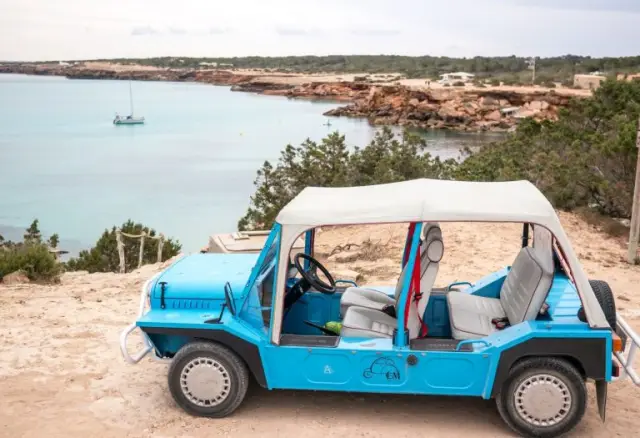 Белок-предшественник яичного желтка регулирует влечение комаров к человеку: первое исследование связывает кормление и размножение комаров с белком яичного желтка вителлогенином