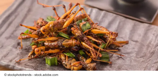 Съедобные насекомые? Лабораторное мясо? Настоящая пища будущего - это мясо насекомых, выращенное в лаборатории: культивированные ткани насекомых могут сочетать в себе лучшее из спасающего планету выра