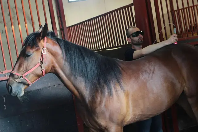 Мощные лазеры для хрупких произведений искусства: профессор Патрицио Античи демонстрирует мощность и высокий потенциал нового метода анализа произведений искусства с использованием плазмы, полученной 