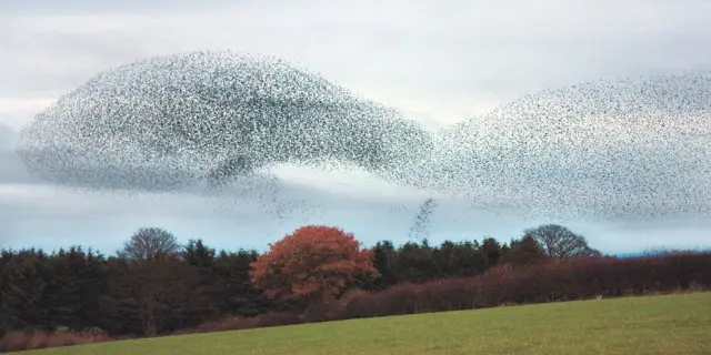 Обнаружено, что вирусы используют сложную «беговую дорожку» для перемещения груза между бактериальными клетками: современные технологии показывают, что бактериальные клетки организованы подобно клетка