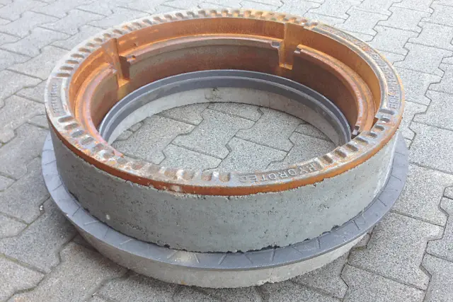 Делают ли ограниченные запасы подземных вод растения менее восприимчивыми к засухе? Растения, адаптированные к средиземноморскому климату, могут быть более гибкими перед непредсказуемыми дождями