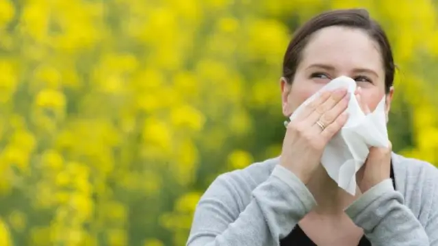 Юрский сдвиг: изменение правил эволюции: факторы окружающей среды имеют гораздо меньшее влияние на то, насколько успешны виды сегодня, по сравнению с доисторическими временами