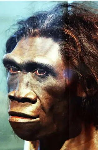 Ископаемые останки самых маленьких видов обезьян Старого Света обнаружены в Кении: Исследовательская группа обнаружила Nanopithecus browni недалеко от Канапои, Кения, вдали от мест обитания других мар