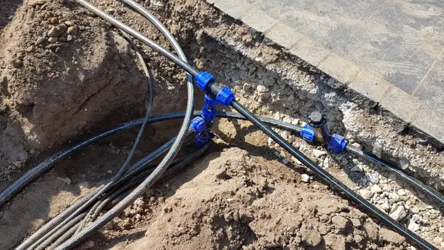 Метод терагерцовой визуализации выявляет подповерхностные повреждения дерева насекомыми: новый метод может выявлять заражение насекомыми отдельных деревьев на ранних стадиях