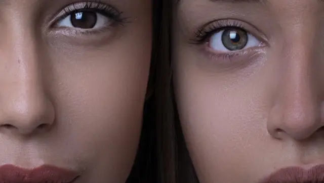 Система антимикробной защиты мух удваивается как средство для уничтожения опухолей: выявление нового пути уничтожения опухолей у мух может привести к разработке новых подходов к лечению рака