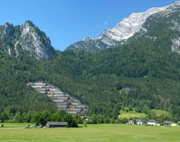 Обнаружен новый процесс полного разложения антипирена в окружающей среде: новое исследование имеет потенциальное применение для восстановления других трудно поддающихся разложению загрязнителей