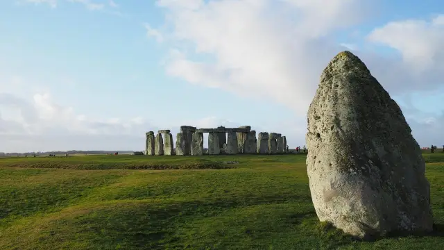 Загадочные формы: раскрытие тайн морфологии растительных клеток: новое исследование предполагает участие пектина и целлюлозы в молекулярном механизме, определяющем морфологию растительных клеток