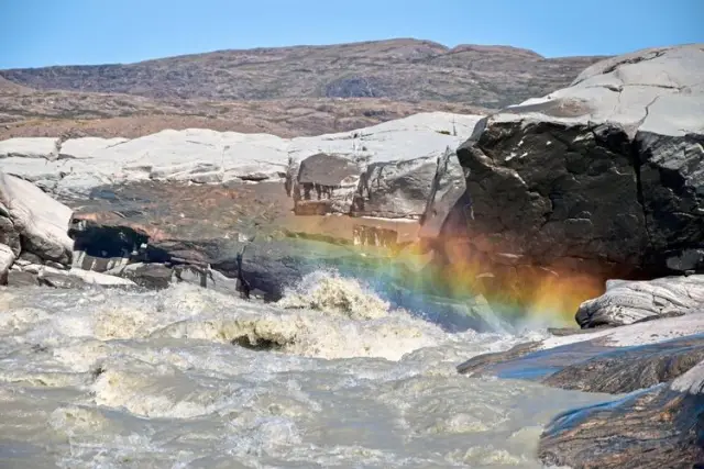 Лесные пожары могут навсегда изменить состав лесов Аляски: исследование лаборатории Беркли показывает, что вечнозеленые хвойные деревья будут сокращаться, а лиственные широколиственные деревья будут д