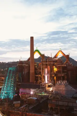 Изучение зрения в кромешной тьме проливает свет на то, как мозг млекопитающего управляет поведением: нейробиологи связывают поведение млекопитающих с лежащим в его основе нейронным кодом при беспрецед