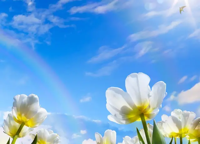 Постепенное сокращение выбросов предотвратит внезапный скачок потепления: исследование развеяло опасения, что агрессивное сокращение выбросов ископаемого топлива приведет к обратным результатам и вызо