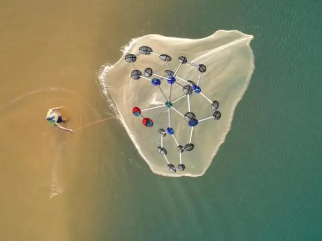 Первое научное описание неуловимой птицы проливает свет на бедственное положение лесов Борнео: ученые документируют новые виды с прицелом на судьбу сокращающегося биоразнообразия леса и его обитателей