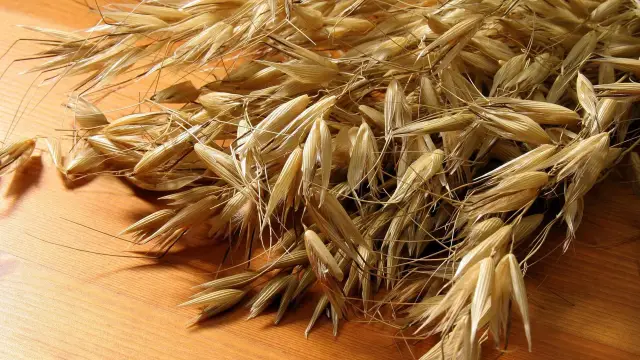 Новое понимание того, как бактерии развивают лекарственную устойчивость, может привести к улучшению антибиотикотерапии: использование стратегии, известной как побочная чувствительность у бактерий, мож