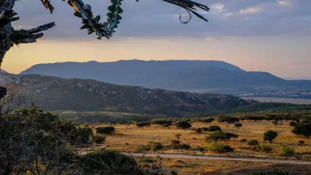 Клей, который разъединяется в магнитном поле, может сократить количество отходов на свалках: промышленный клей означает, что продукты можно разбирать и перерабатывать, а не выбрасывать на свалку