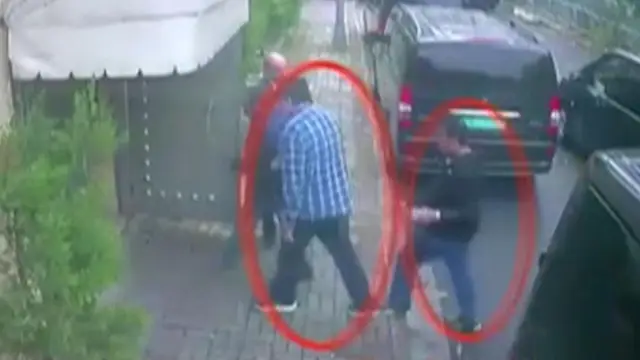 Загадочный случай с птенцами разукрашенной лысухи имеет удивительное объяснение: согласно новому исследованию, яркая окраска птенцов американской лысухи помогает их родителям выбирать любимцев