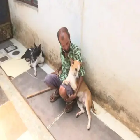 Компании Canine Companions требуются волонтеры для выращивания служебных собак