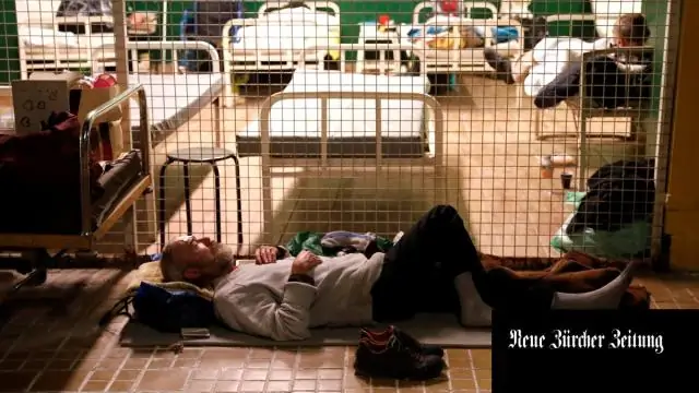 Действительно ли дробление слоновой кости помогает положить конец незаконному браконьерству?