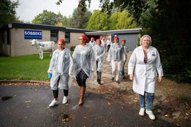 Органические молочные продукты выводят из молока антибиотики Но как насчет жестокости?