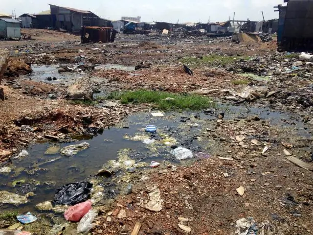 Работа в соответствии с законом: как легальная торговля дикой природой способствует незаконной торговле