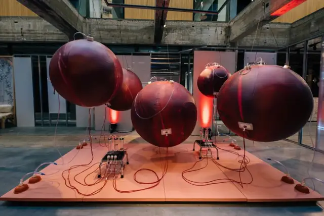 Петиция: Призывайте Groupon прекратить популяризацию бега борзых