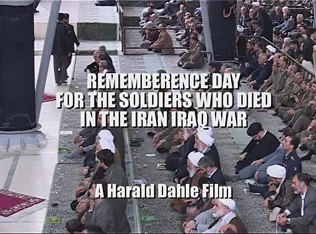 Не кусайте кормящую руку! Зачем людям нужны акулы