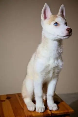 10 токсинов, которым не должен подвергаться ваш ребенок