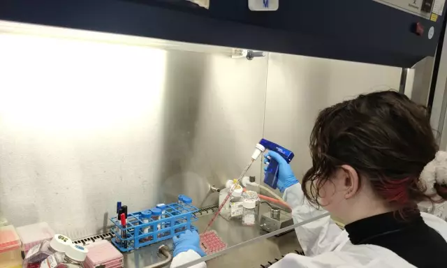 Исследователи делают тревожное открытие при тестировании человеческих ответов на собак в опасности