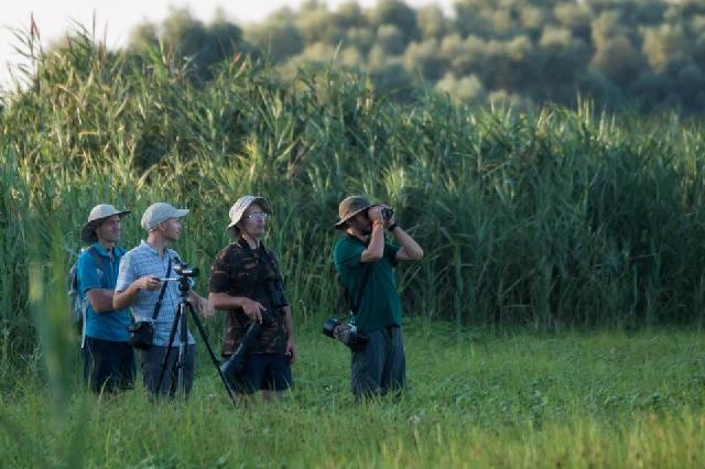 Румыния - Румынское орнитологическое общество (SOR) / BirdLife Romania