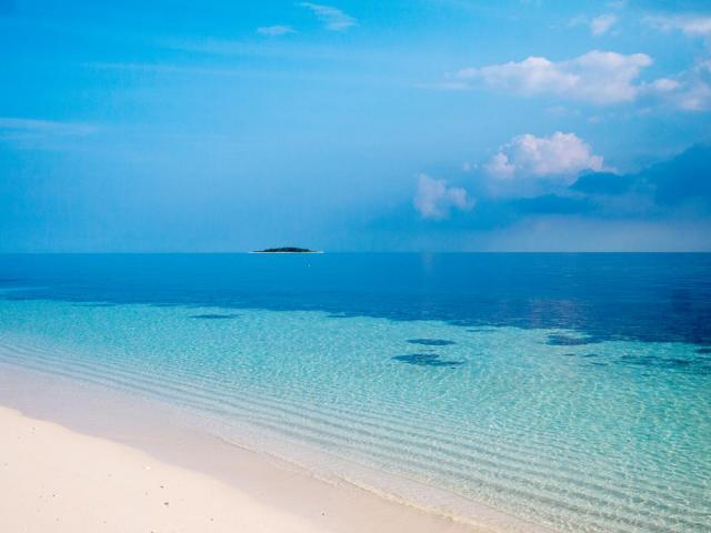 Африка приветствует пернатых путешественников