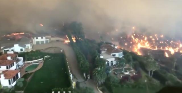 Опубликован отчет "Птицы штата Иордания"