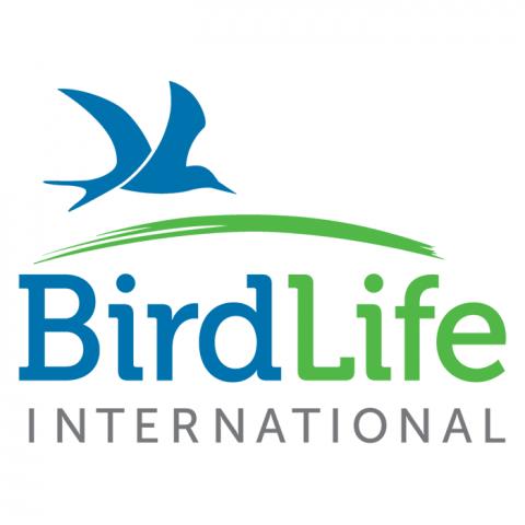 BirdLife International использует новую платформу, чтобы рассказывать истории сохранения