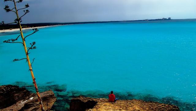Заповеднику морских птиц угрожает роскошный отель