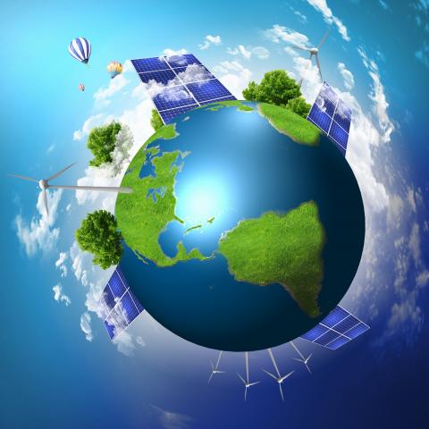 Устойчивое будущее для птиц и энергии