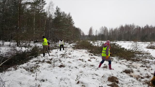 Борьба с глобальным потеплением с помощью белорусских болот