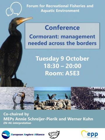 BirdLife Europe And Partners призывает к «Новой Европе для людей, планеты и процветания для всех»