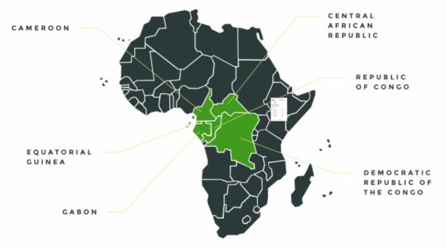 Инвестиции CEPF в гвинейские леса Западной Африки - горячая точка биоразнообразия