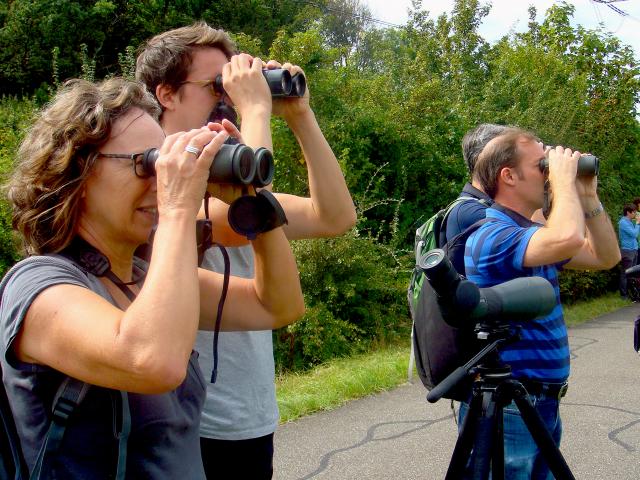 5,8 миллиона и их количество - EuroBirdwatch