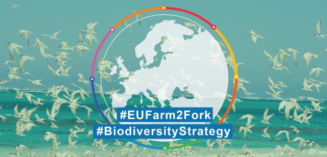 Birdlife Europe & Central Asia Пресс-релиз 3 мая г