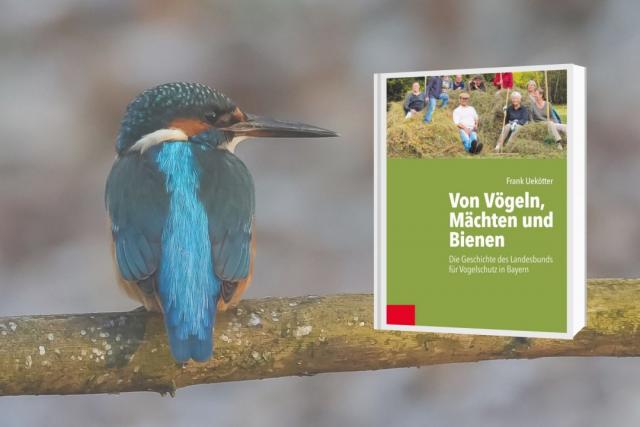 Бесплатная пробная версия журнала BirdLife