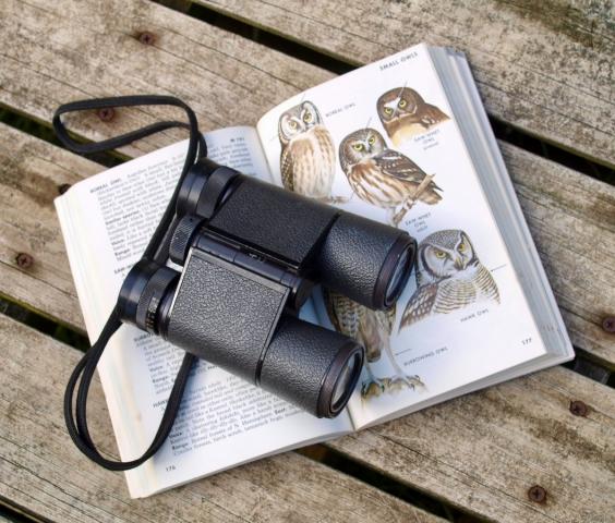 Пресс-релиз BirdLife в Европе и Центральной Азии - 14 июня г
