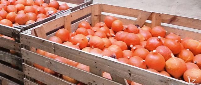 Награда пионеру ресторана-стервятника, чья работа помогает бедным фермерам