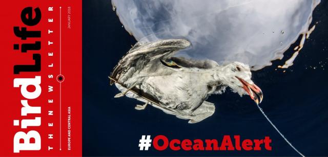 OceanAlert: Между дьяволом и глубоким синим морем