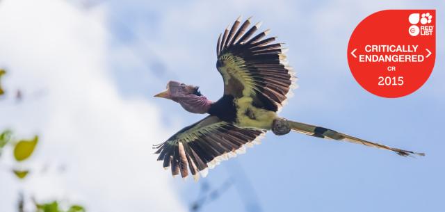 Пресс-релиз BirdLife в Европе и Центральной Азии - 23 февраля г