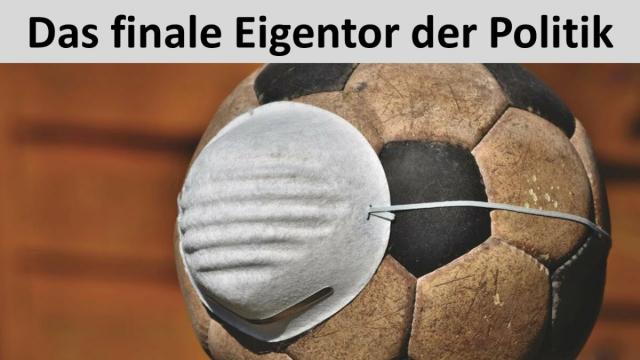 Выхода нет - нерациональные методы рыболовства в Европе наносят вред морским птицам