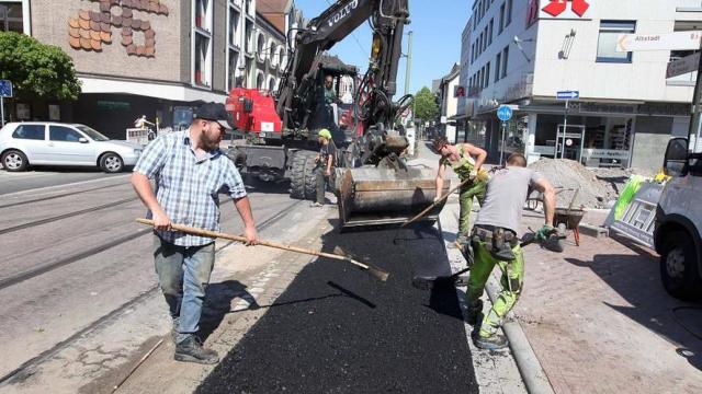 Герой, стремящийся сделать небеса Мальты безопасными для перелетных птиц