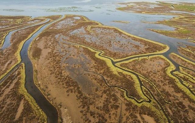 Незаменим: Дельта Гедиза, Турция - мост через мутную воду
