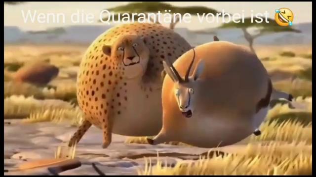 Когда уборка пляжа закончена