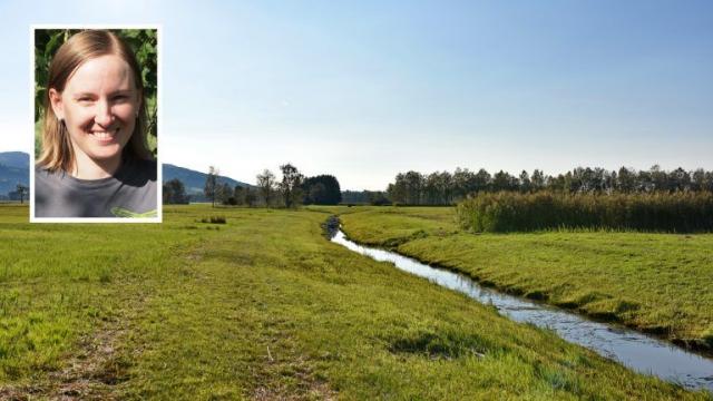 Тысячи птиц в опасности, поскольку водно-болотным угодьям угрожает чрезмерная эксплуатация